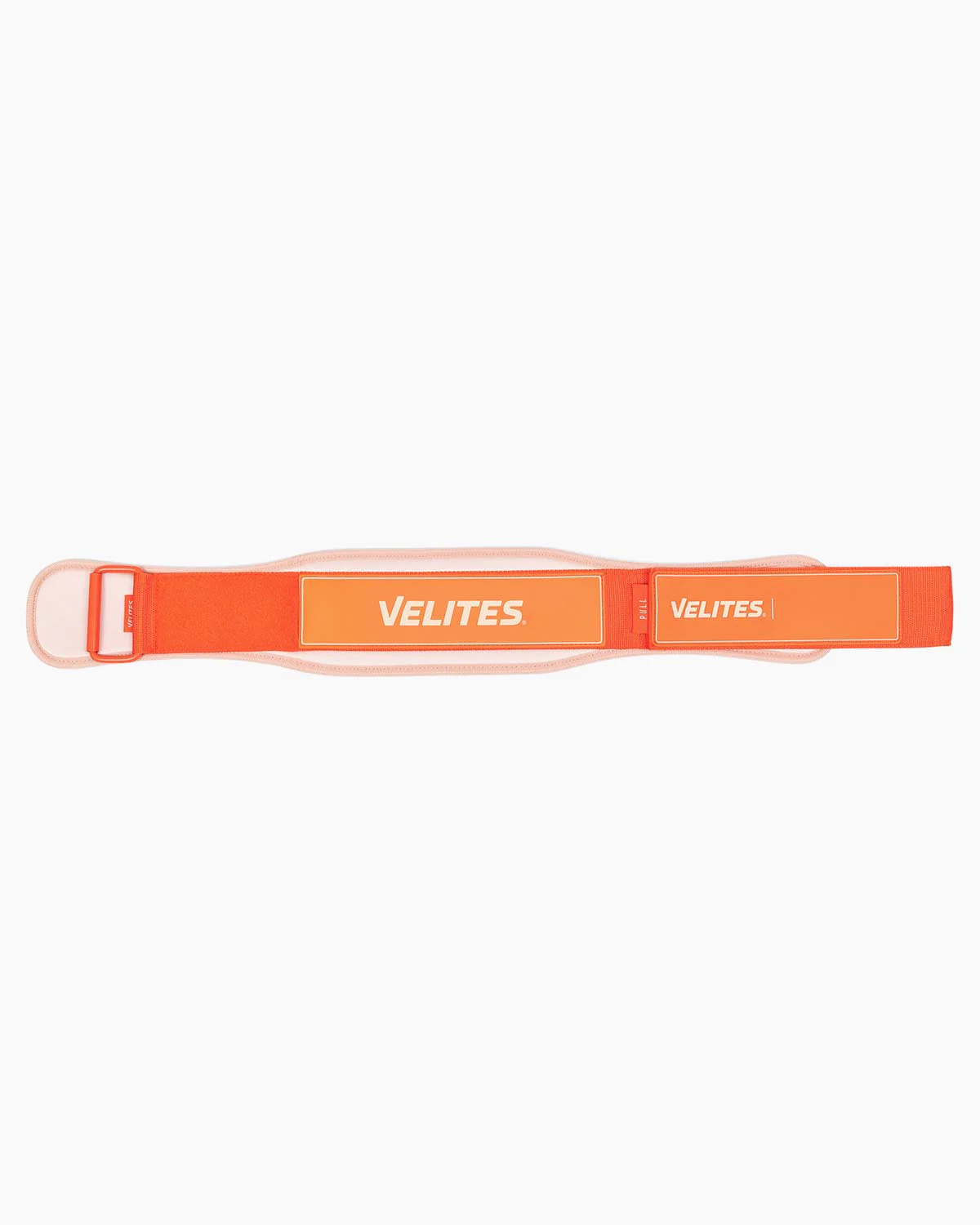 Lifting Belt - Image 13